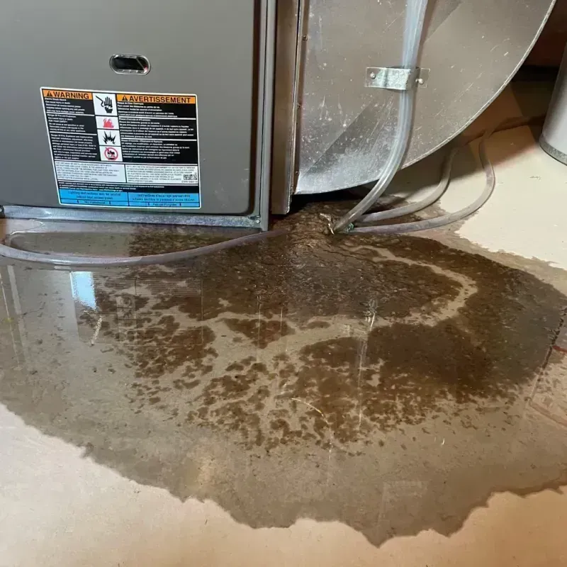 Appliance Leak Cleanup in Jackson County, IL